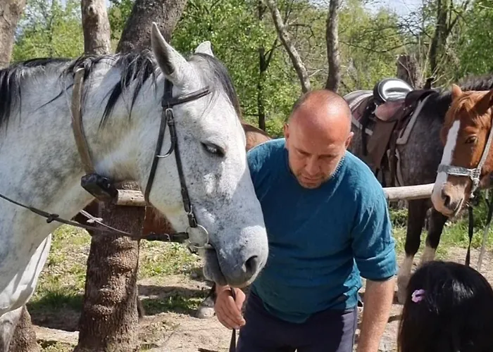 Marigold Апартамент Сандански